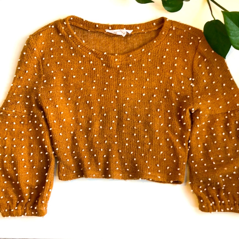 BCBG Women Short sweater crop top xs